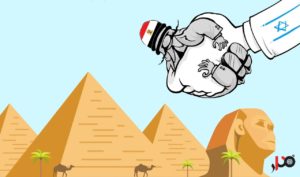 الصور: DR